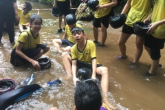 IMG-20180319-WA0004